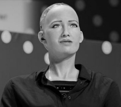 <b>Sophia the Humanoid Robot </b>
