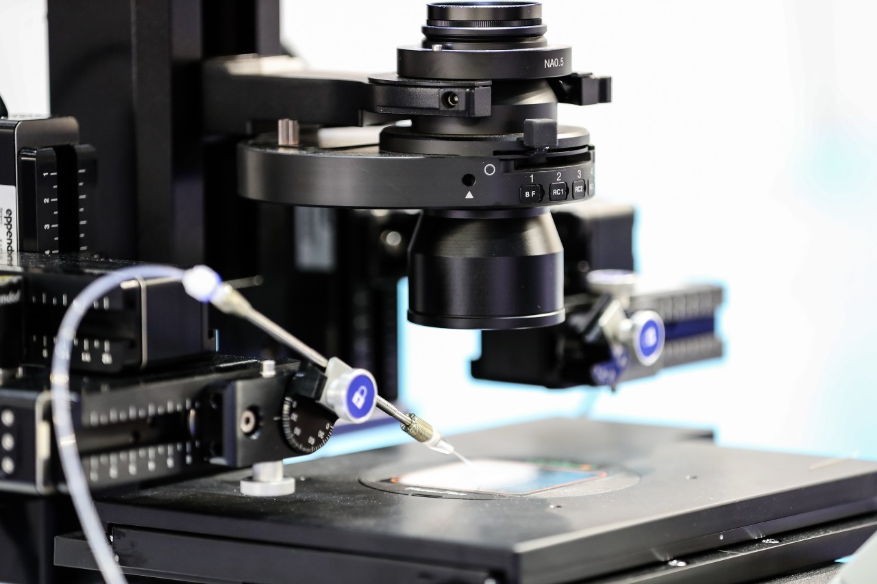 Global Health Exhibition will feature healthcare innovation zone